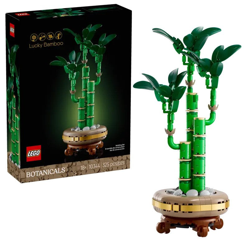 Lucky Bamboo