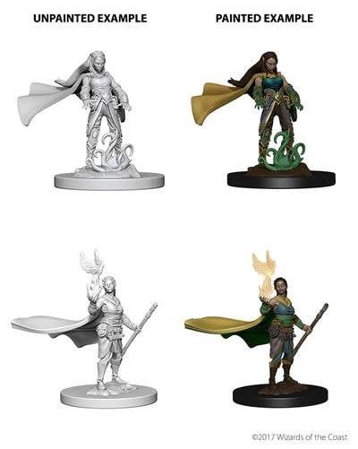 Nolzur's Marvelous Miniatures: Elf Druid Female