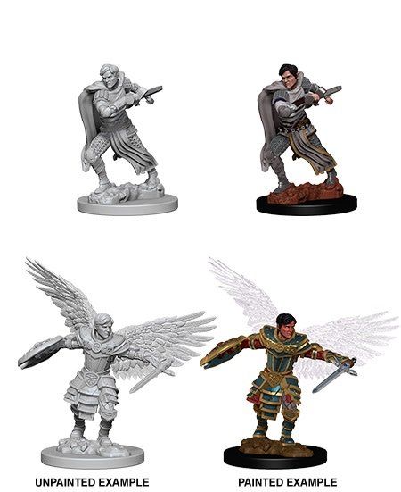 Nolzurs Marvelous Miniatures Male Aasimar Fighter