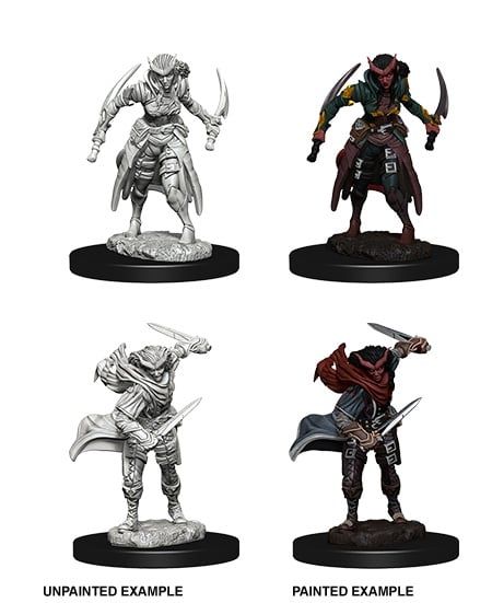 Nolzurs Marvelous Miniatures Tiefling Female Rogue