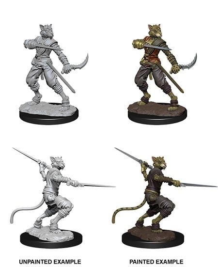 Nolzurs Marvelous Miniatures Male Tabaxi Rogue