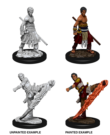 Nolzurs Marvelous Miniatures Half-Elf Monk Male