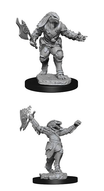 Nolzurs Marvelous Miniatures Female Dragonborn Fighter