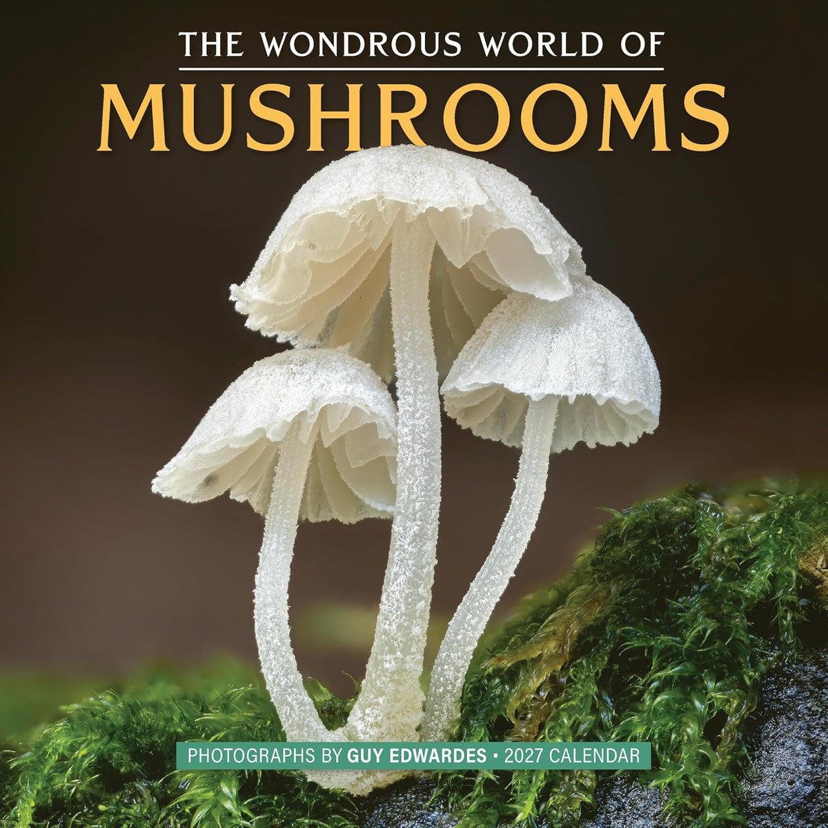 2027 World of Mushrooms Calend