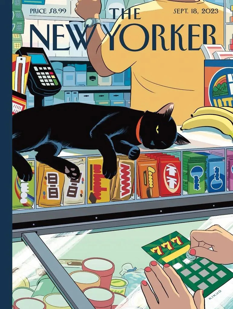 Bodega Cat 1000pc Puzzle