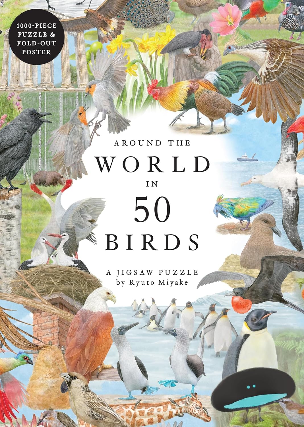 Around World in 50 Birds 1000pc Puzzle
