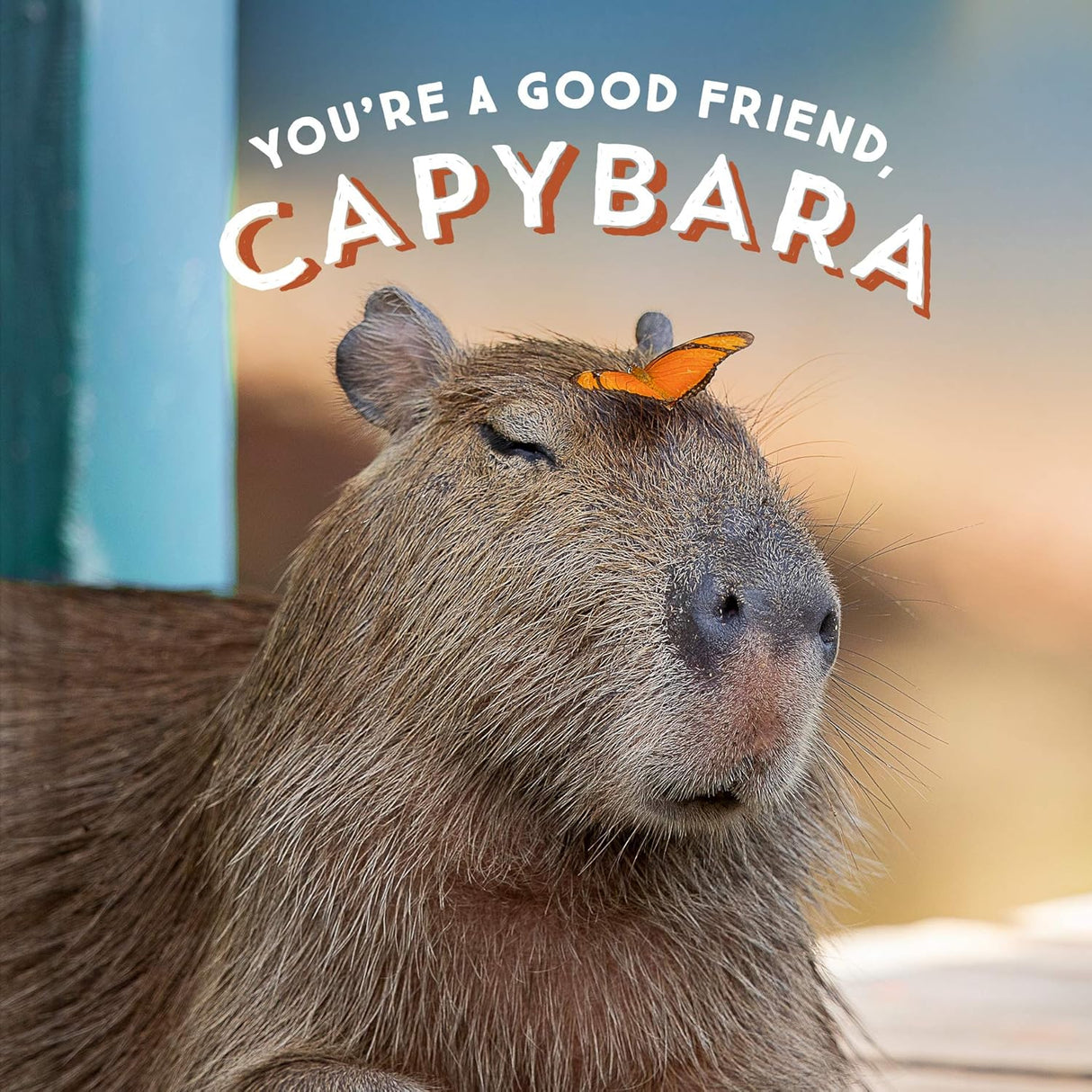 You're a Good Friend Capybara