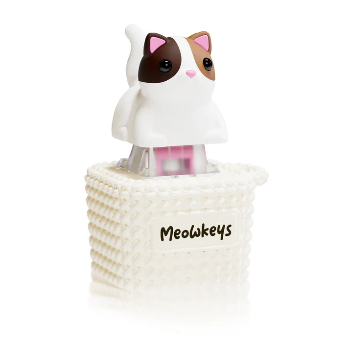 Meowkey Brown/Cream