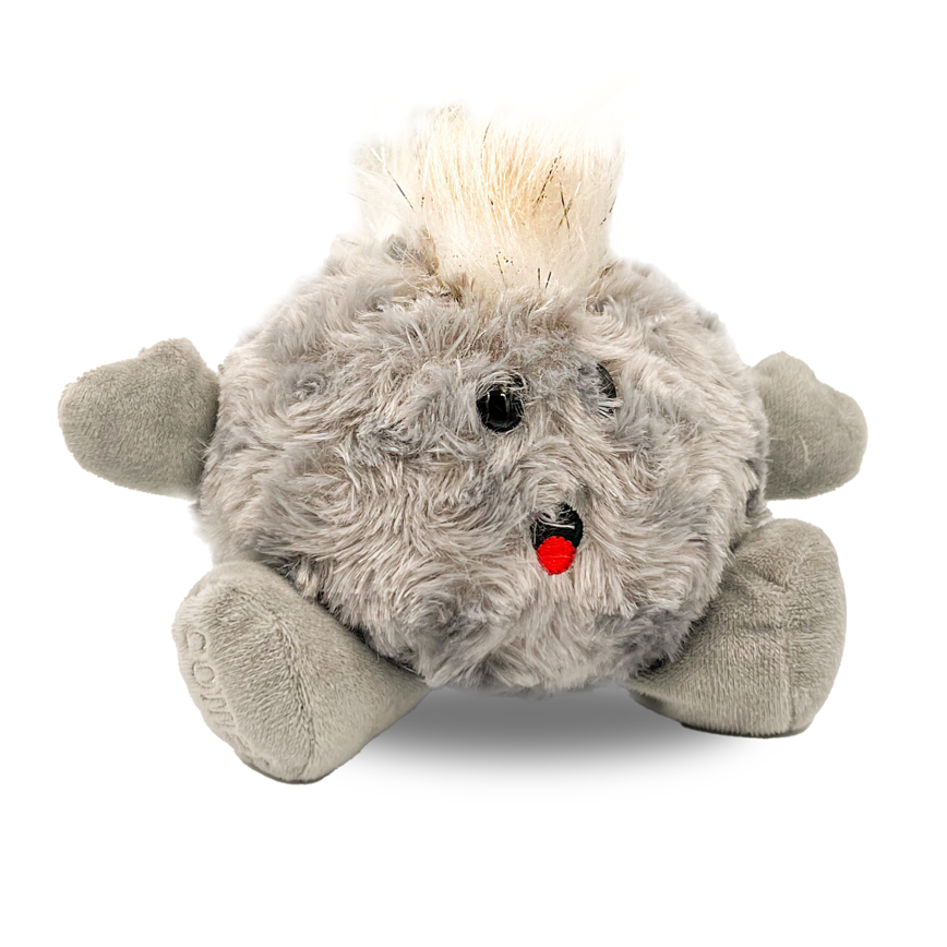 Celestial Buddy Comet