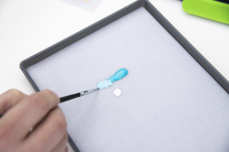 Dual-Density Sponge 2-Pack GO