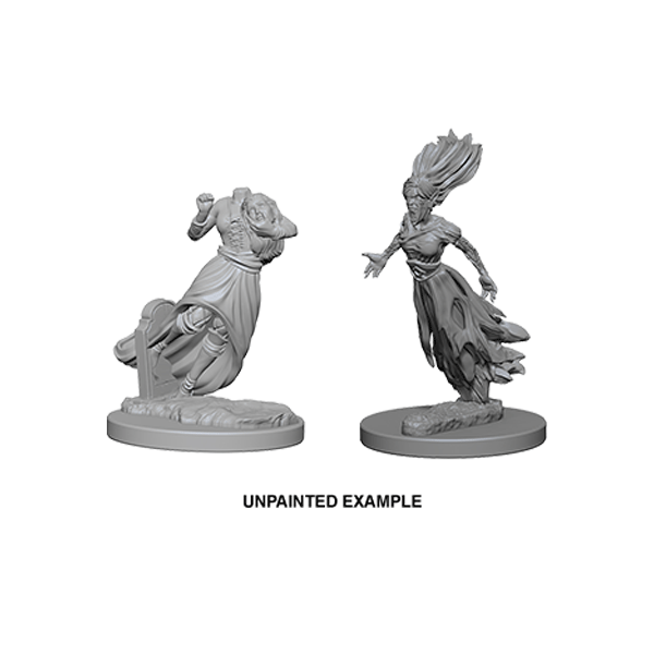 Nolzur's Marvelous Miniatures: Ghost & Banshee