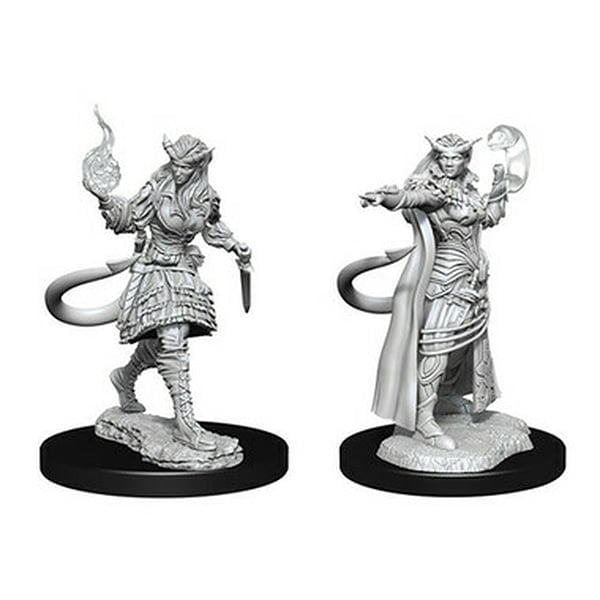 Nolzurs Marvelous Miniatures Tiefling Sorcerer Female