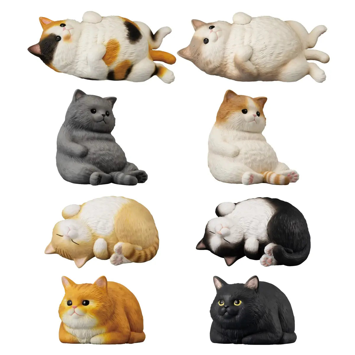 Mocchiri Koroin Cats