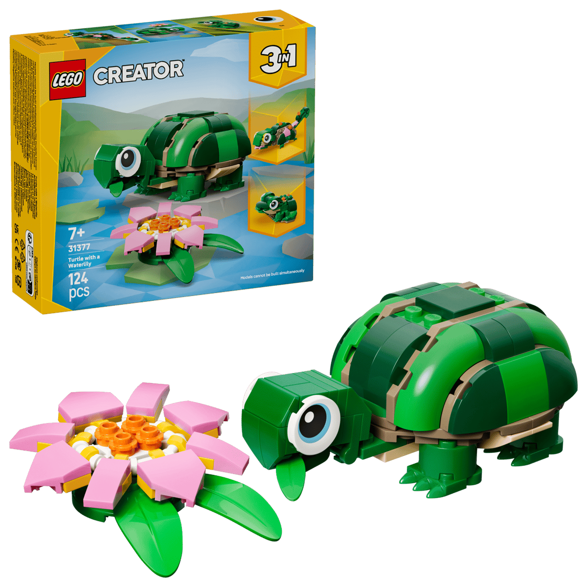 Turtle with a Water Lily Flowe