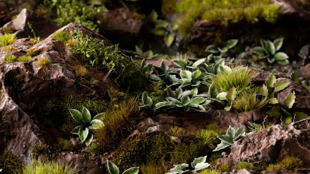 Gamers Grass Laser Plants - Plantain Lily