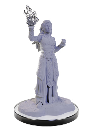 Nolzur’s Marvelous Miniatures: Elf Wizards