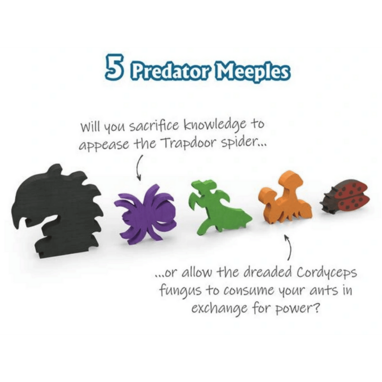 March of the Ants + Expansions