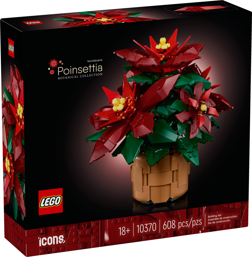 Poinsettia