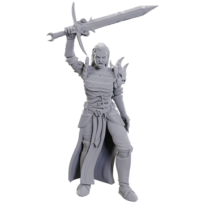 Nolzur's Marvelous Miniatures: Blackguard