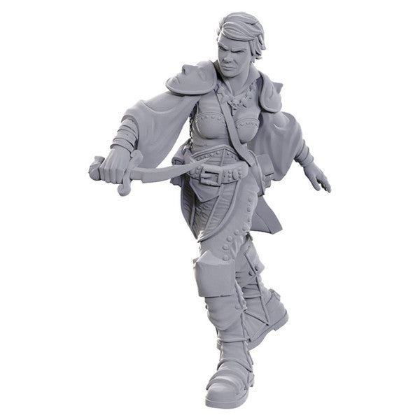 Nolzur's Marvelous Miniatures: Swashbuckler