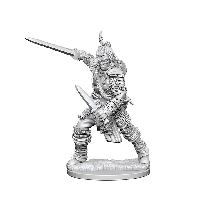 Pathfinder Deep Cuts Miniatures: Human Fighter Male