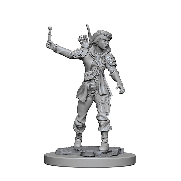 Pathfinder Deep Cuts Miniatures: Human Female Rogue