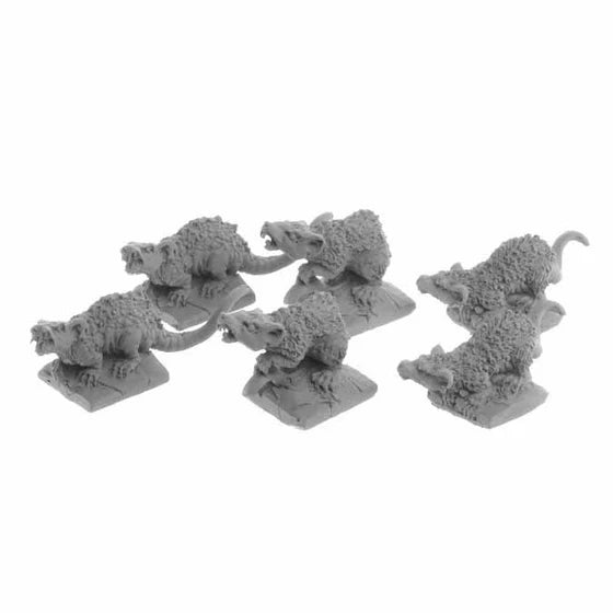Giant Tomb Rats