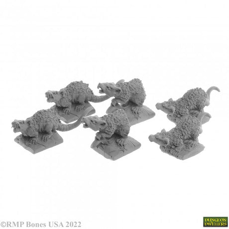 Giant Tomb Rats product image