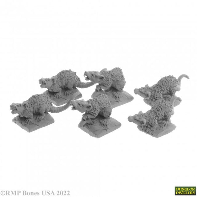 Giant Tomb Rats product image