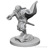 Nolzur’s Marvelous Miniatures: Vampires