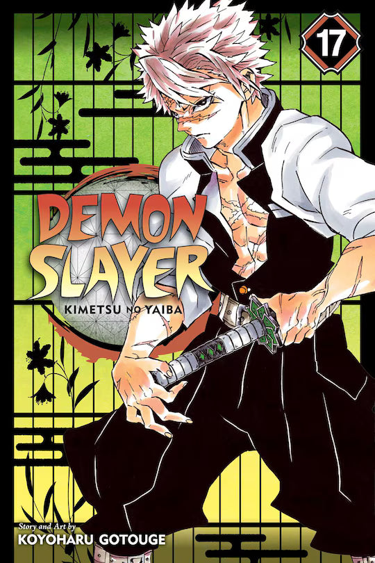 Demon Slayer 17