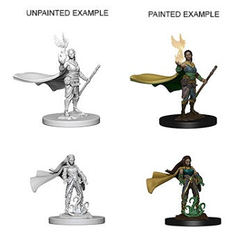 Nolzur’s Marvelous Miniatures: Elf Druid Female