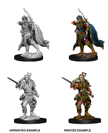 Nolzur’s Marvelous Miniatures: Male Elf Rogue