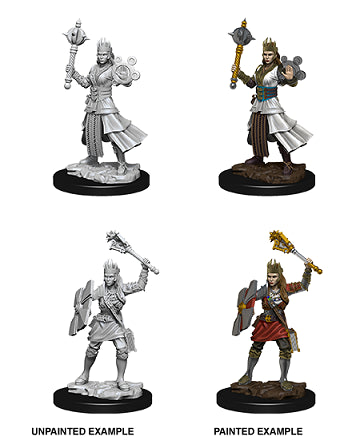Nolzur’s Marvelous Miniatures: Female Human Cleric