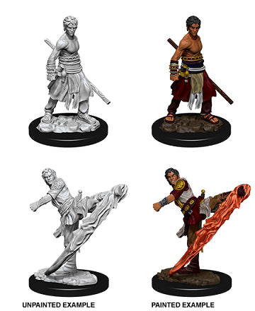 Nolzur’s Marvelous Miniatures: Half-Elf Monk Male