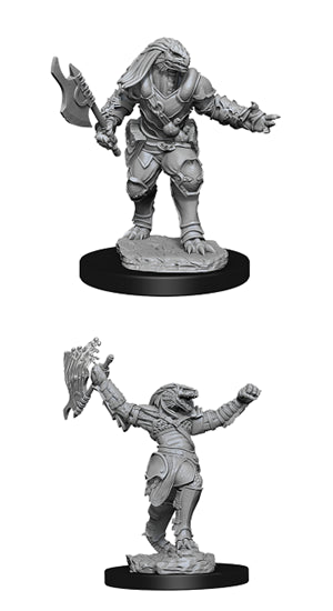 Nolzur’s Marvelous Miniatures: Female Dragonborn Fighter