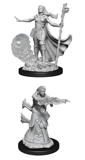 Nolzur’s Marvelous Miniatures: Human Wizard Female