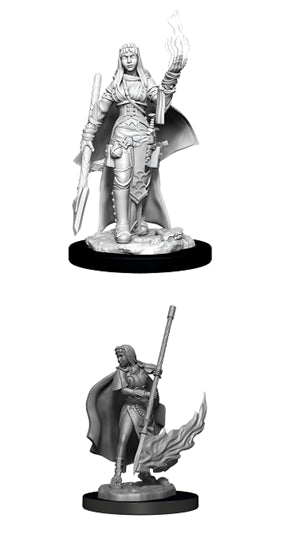 Pathfinder Deep Cuts Miniatures: Female Human Oracle