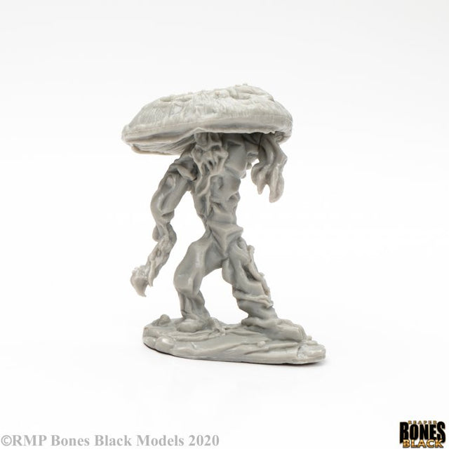 Fungal Guardian product image