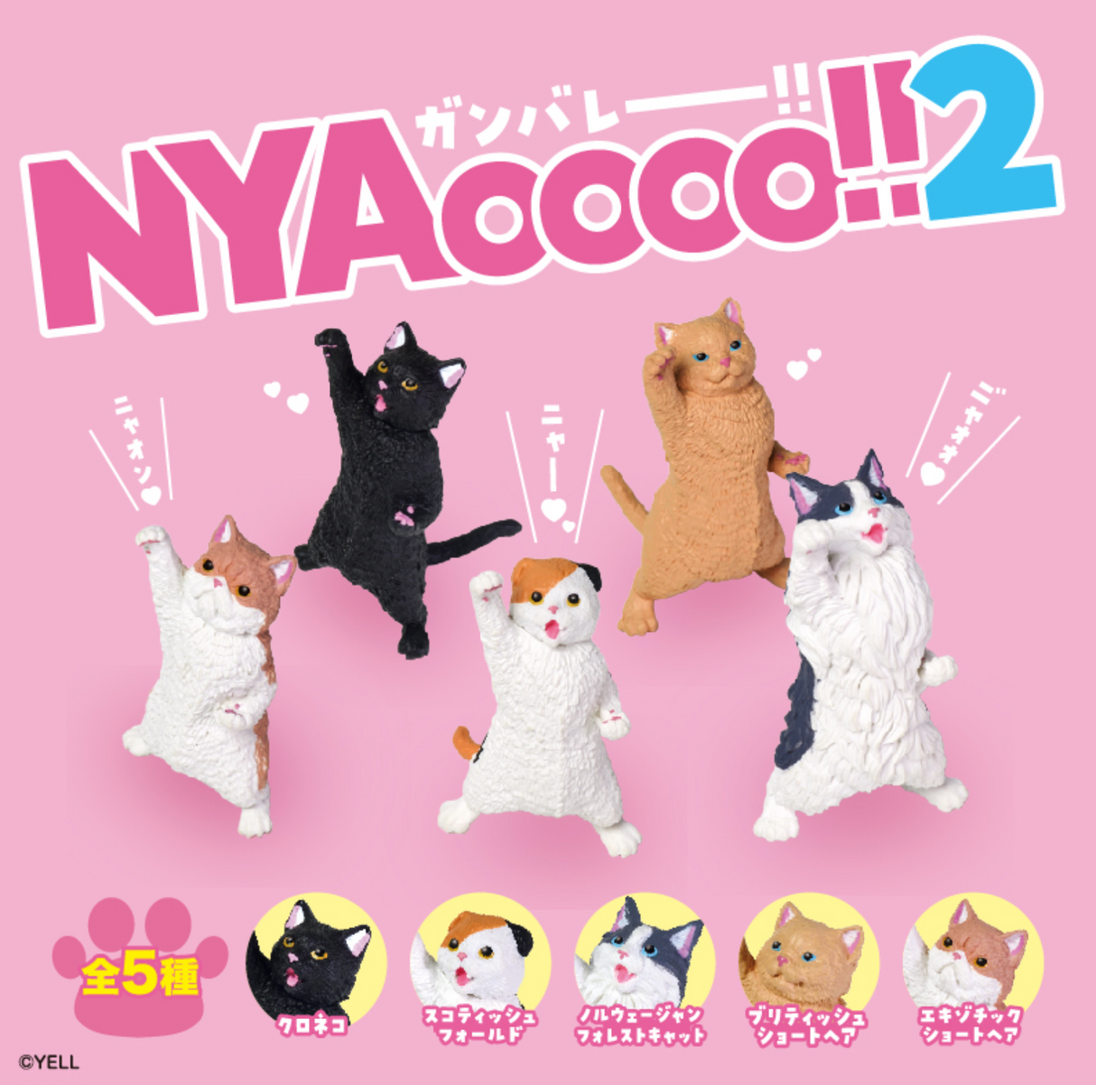 Cheer NYAooo! Vol 2 Blind