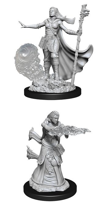Nolzur's Marvelous Miniatures: Human Wizard Female (2020)