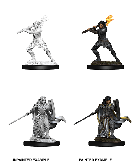 Human Paladin Female