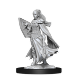 Nolzurs Marvelous Miniatures Kalashtar Cleric Female