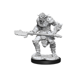 Nolzurs Marvelous Miniatures Bugbear Barbarian Male & Bugbear Female Rogue