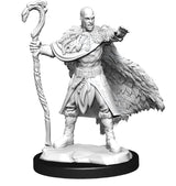 Nolzur’s Marvelous Miniatures Human Male Druid