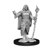 Nolzur’s Marvelous Miniatures Human Male Druid