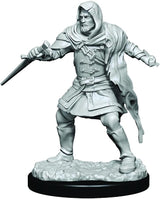 Critical Role Hollow One Rogue / Sorceror