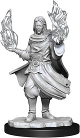 Critical Role Hollow One Rogue / Sorceror
