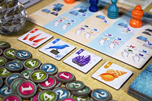 The Whatnot Cabinet Board Game