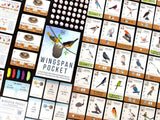 Wingspan Pocket